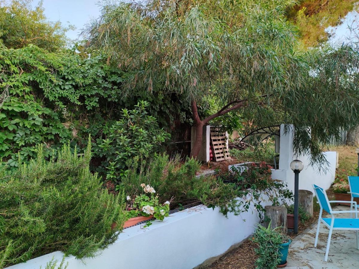 Maison d'hôtes Filoxenia Di Umberto à Sassari Extérieur photo