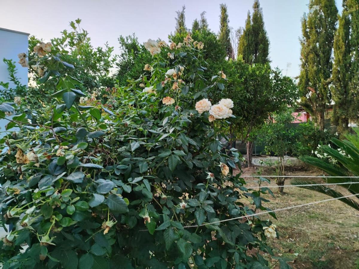 Maison d'hôtes Filoxenia Di Umberto à Sassari Extérieur photo